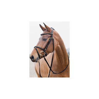 Kožená uzdečka Horze Constanz, černá - vel. Pony