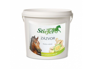 Zázvor (Balení, 1 kg)