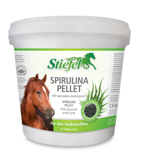 Spirulina pro nasvalení a svalový metabolismus (Kyblík 1,5 kg)