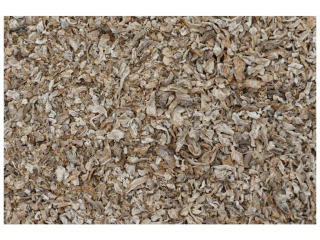 Sypké cukrovarské řízky 10kg (doprodej)