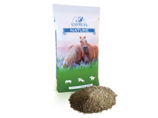 ENERGYS sladový květ, sypký 20kg