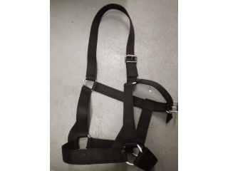 Ohlávka pro chladnokrevníka