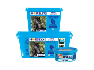 HORSLYX Mint