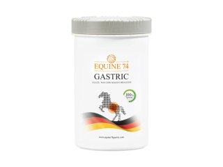 EQUINE 74 - GASTRIC - proti žaludečním vředům