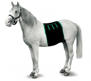 Bandáž pro koně břišní, EQUIVET vel. M