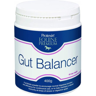 Protexin Gut Balancer pro koně 400g