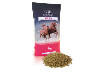 Granule ENERGYS Baby 25kg