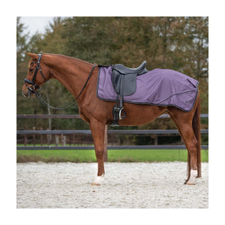 Bederní deka nepromokavá QHP, fialová