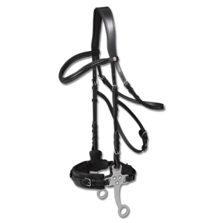 Kožená uzdečka Hackamore Waldhausen, černá - full