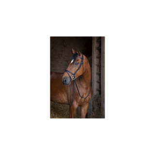 Kožená uzdečka Eric Thomas Shiny, černá