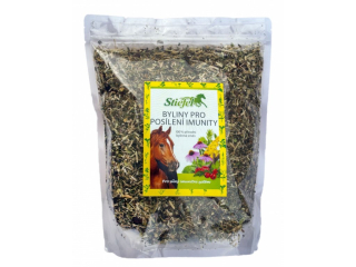 Byliny pro podporu imunitního systému (Sáček, 1 kg)