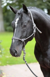 Provazová ohlávka Knott