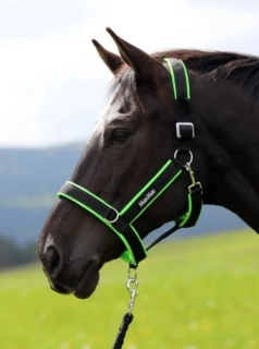 Nejpevnější stájová ohlávka MANMAT, reflexní zelená