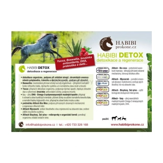 HABIBI - DETOX
