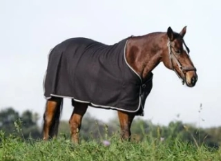 Odpocovací deka Riding World, černá