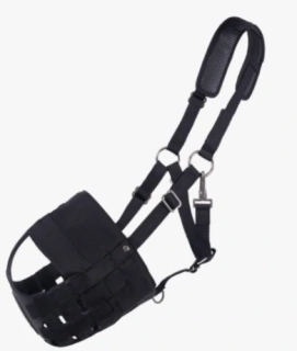 Ohlávka QHP včetně náhubku