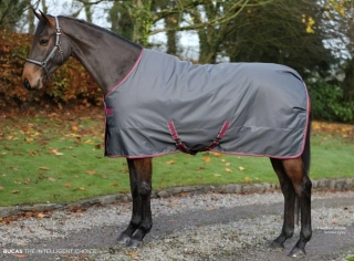 Stájová deka Bucas Freedom AW 2025/25, 150 g, šedá
