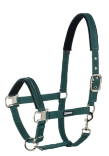 Nylonová ohlávka Eskadron Basic, tmavě zelená