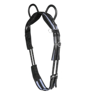 Lonžovací kurt s madly Waldhausen